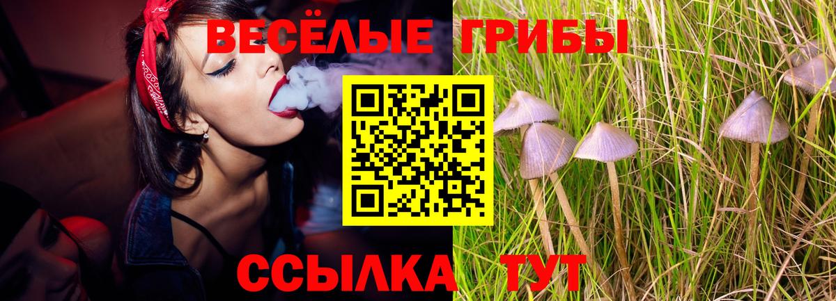 Псилоцибиновые грибы ЛСД Фурманов